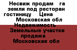 Несвиж.продам 1 га земли под ресторан, гостиницу  › Цена ­ 350 000 - Московская обл. Недвижимость » Земельные участки продажа   . Московская обл.